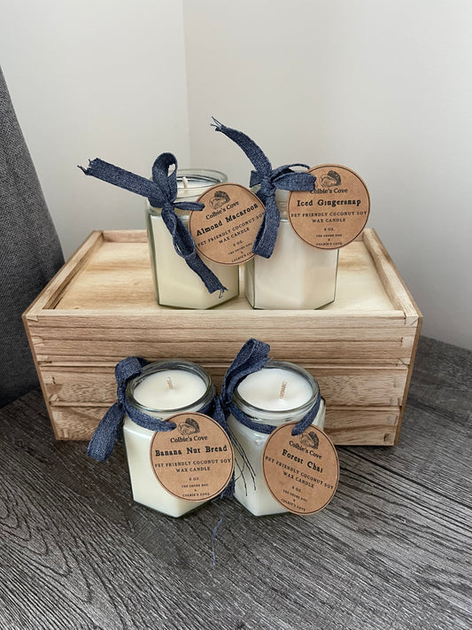 Colbie’s Cove X The Shore Dog Pet Friendly Candle