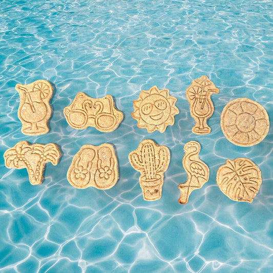 Summer Paws Variety Pack